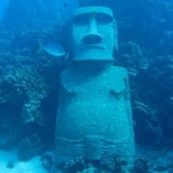 Un bellissimo Moai sul fondale marino della Barriera Corallina